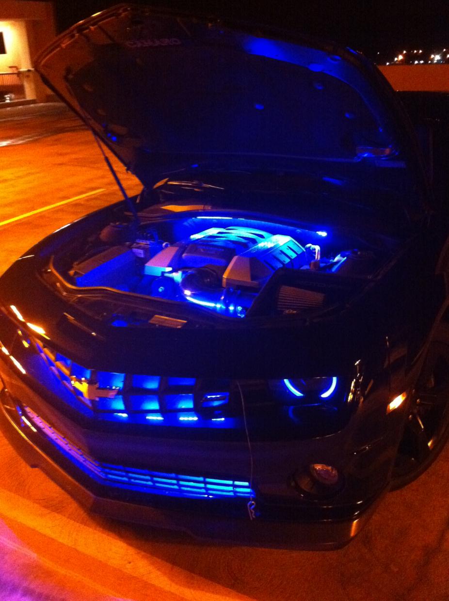 Name:  engine bay.jpg
Views: 4975
Size:  118.5 KB