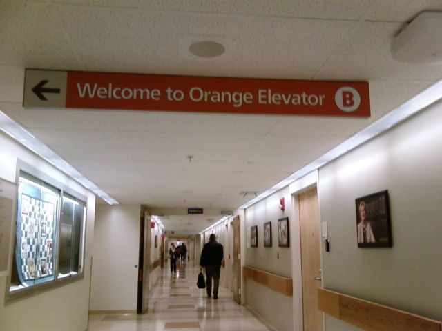 Name:  OrangeElevatorB.jpg
Views: 926
Size:  41.0 KB