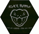 BlAcK MaMbA SS's Avatar