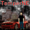 Temper's Avatar