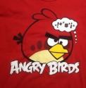 Angrybird 12