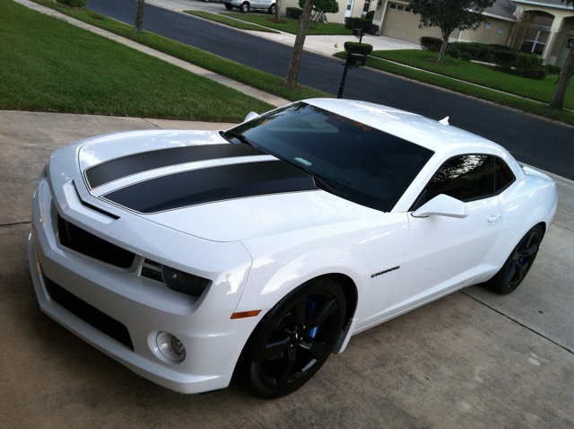 Pic before custom stripes, ground effects, rear spoiler, and custom wheels.