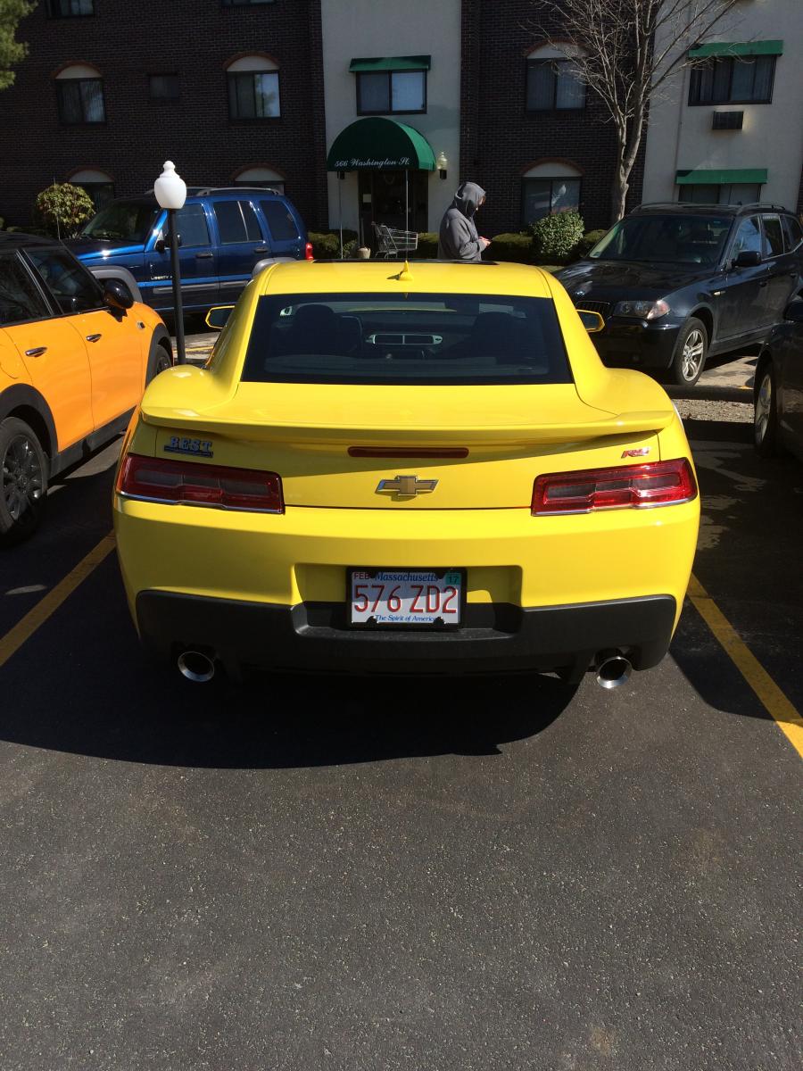 General picture of the rear end