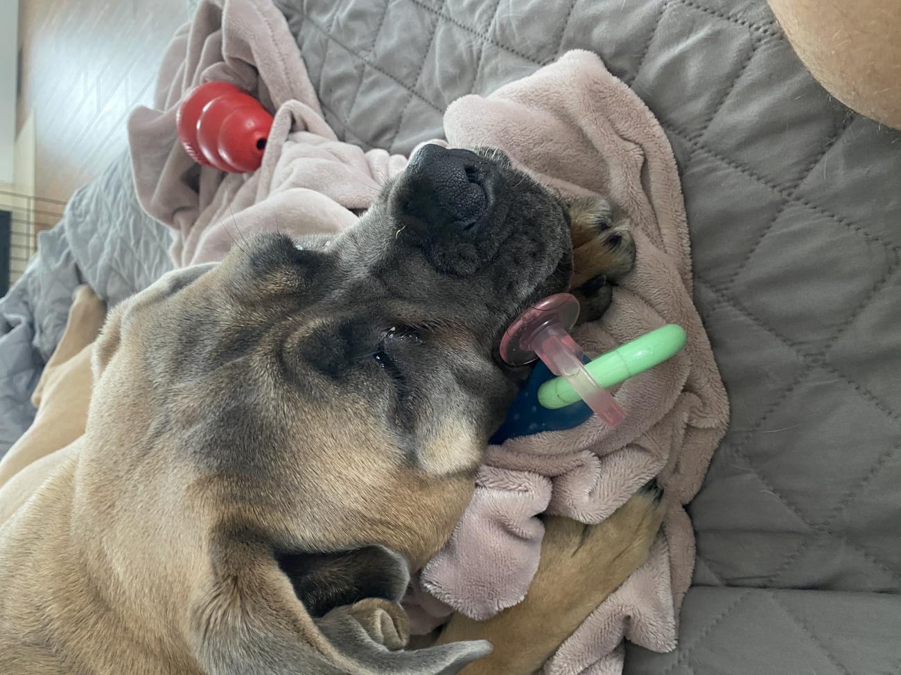 DBBCD6A7 B136 42E2 BD71 A77EB65B0DEA
Sleeping baby