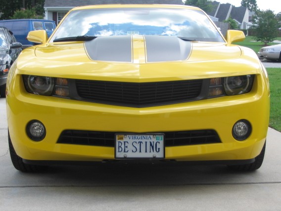 IMG 0296 (568 x 426)