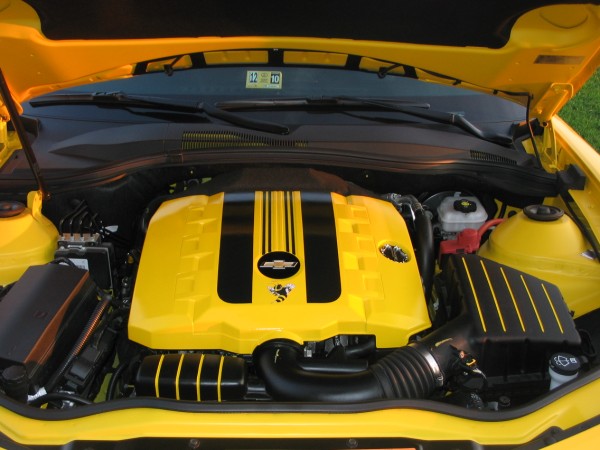 IMG 0311 (600 x 450)