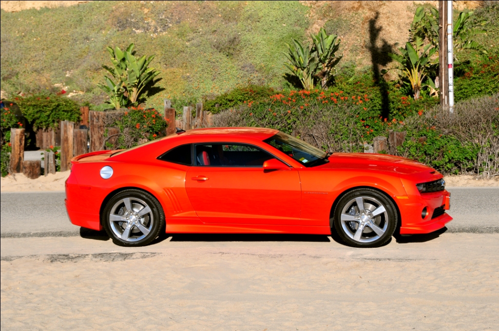 Vibrant Gold Orange in Zuma Sunset