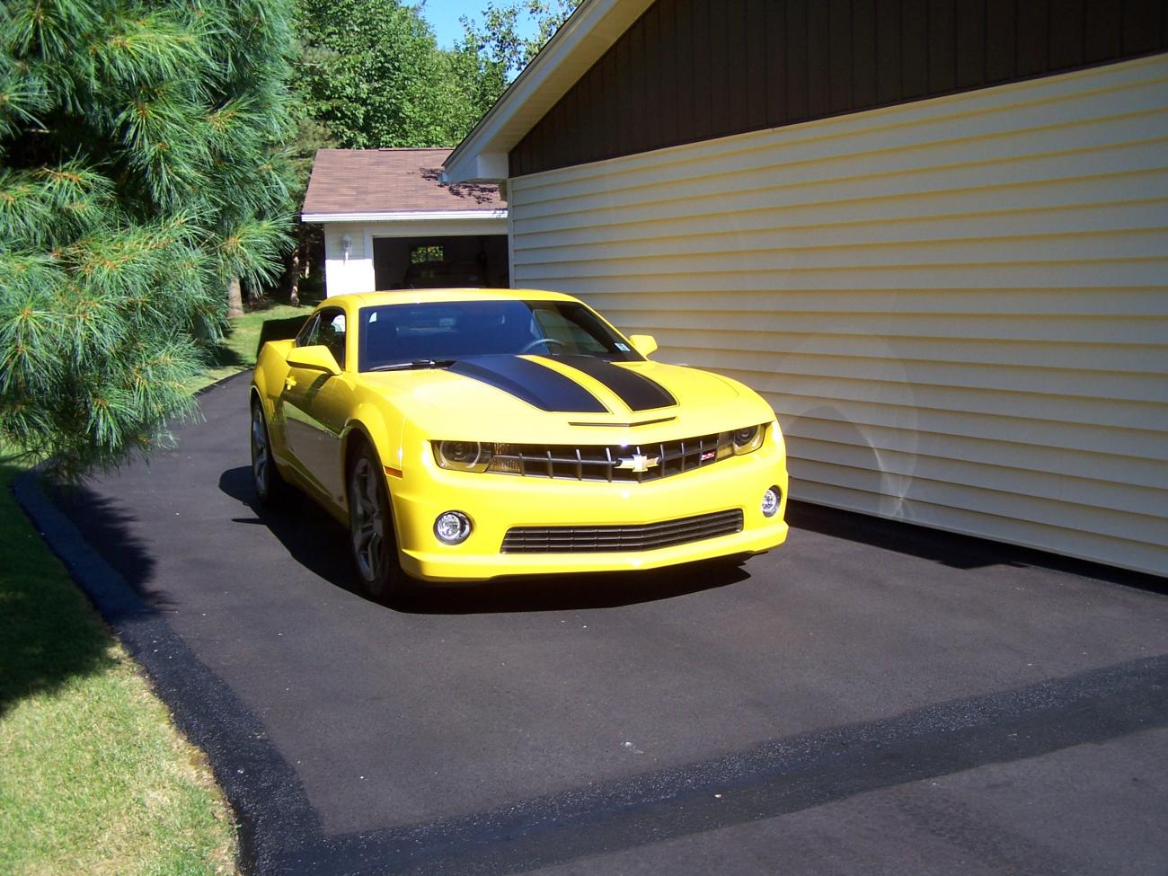 Jason's Wedding Pictures Folder #2 092