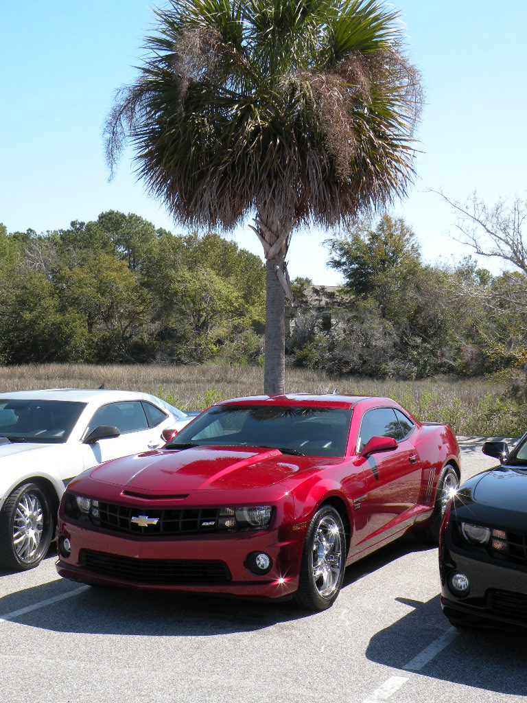 Camaro Cruise 11 071